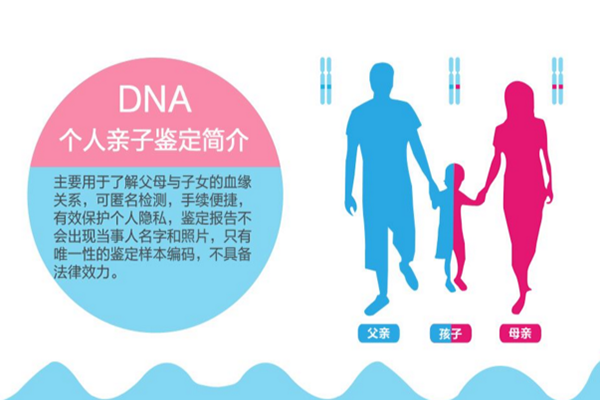 怎么查亲子鉴定机构的合法性