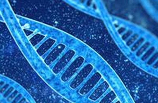 一根头发可以验dna吗？头发验dna需要毛囊吗？