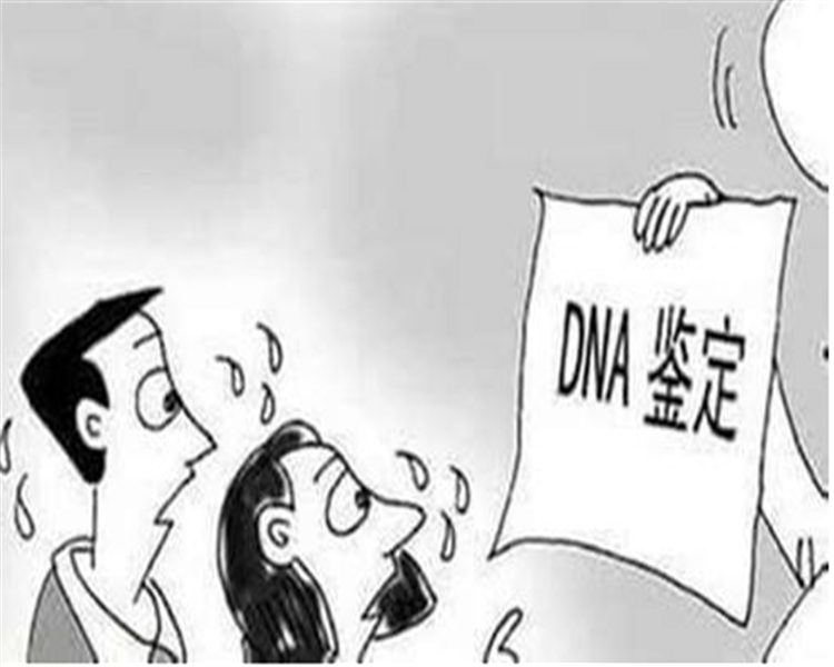 郑州那个医院能做亲子鉴定 医院之外的其他机构可以吗
