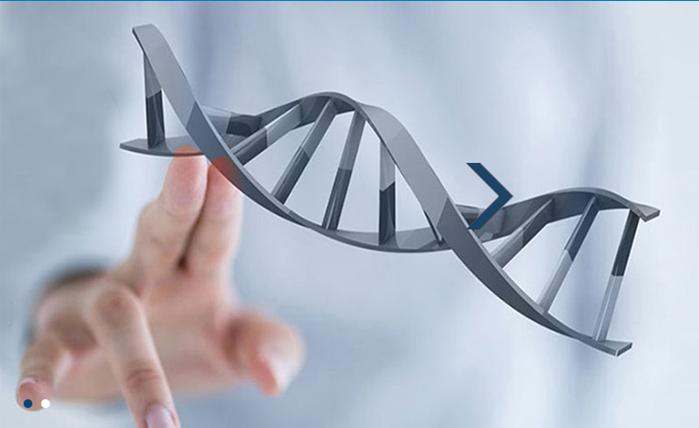 在山东省什么地方能做dna？收费高不高？